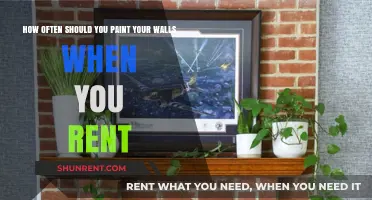 Refreshing Rental Walls: Ideal Painting Frequency for Tenants