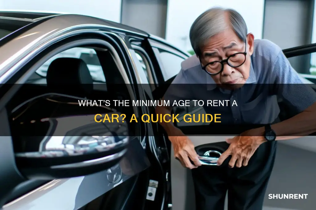 how old doyou have to be to rent a cae