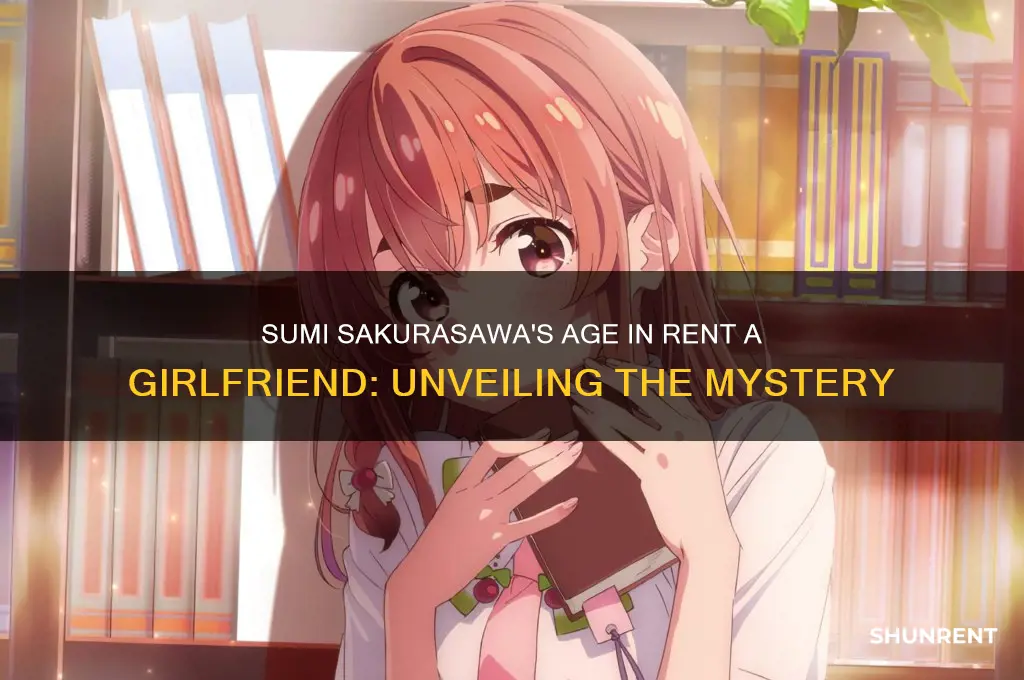 how old is sumi from rent a girlfriend