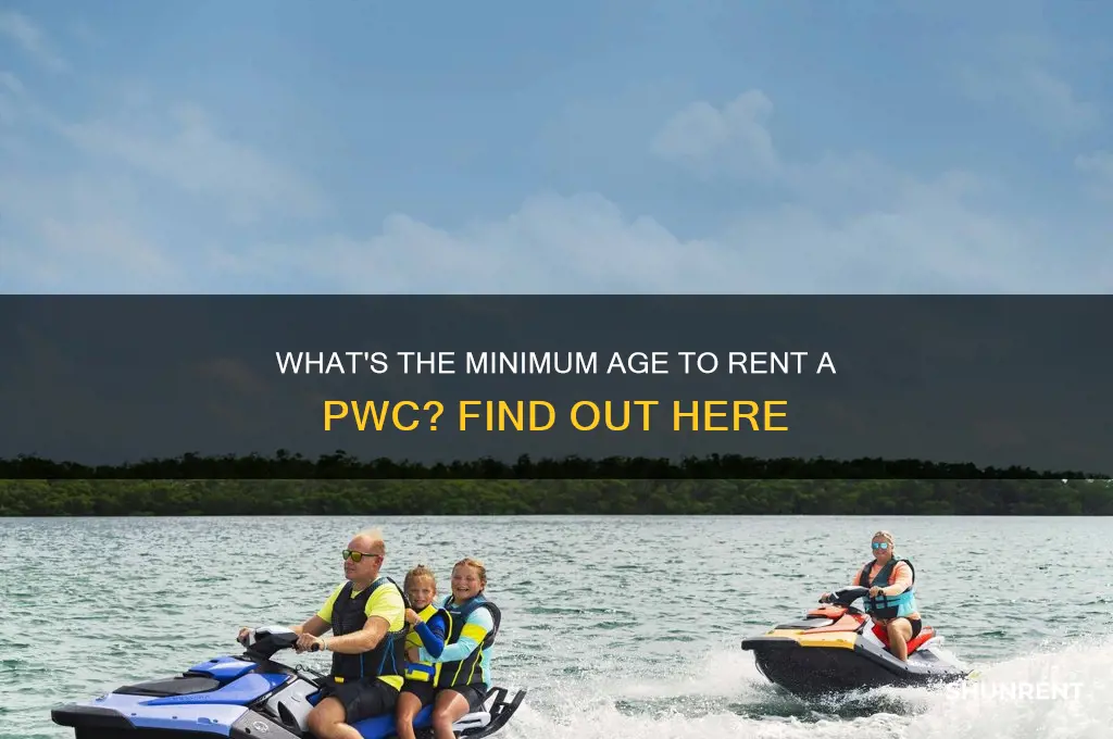 how old must you be to rent a pwc
