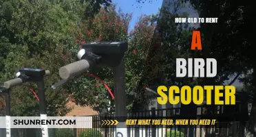 Bird Scooter Rental Age Requirements: What You Need to Know