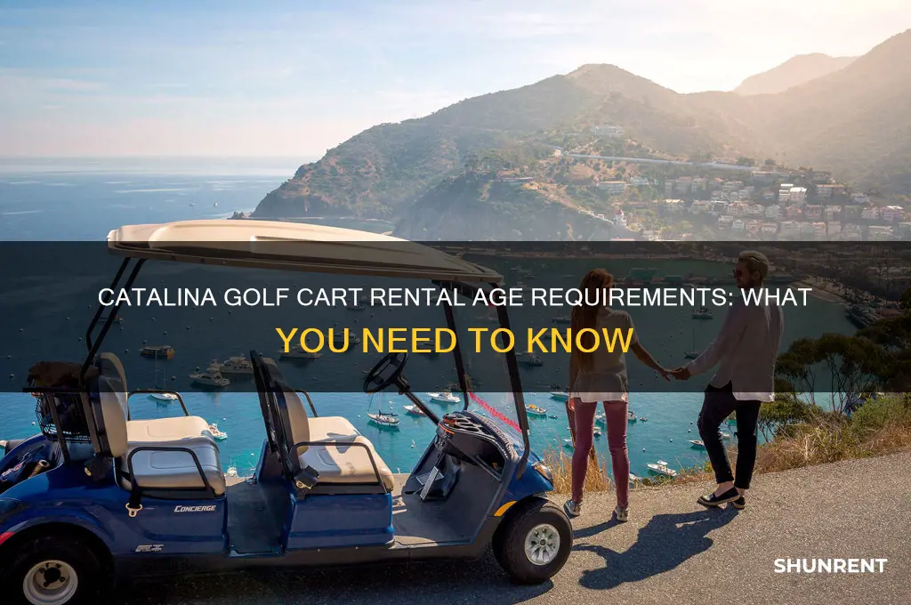 how old to rent a golf cart in catalina