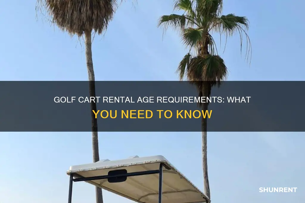 how old to rent a golf cart