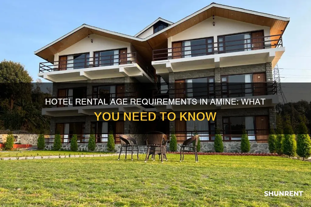 how old to rent a hotel in amine