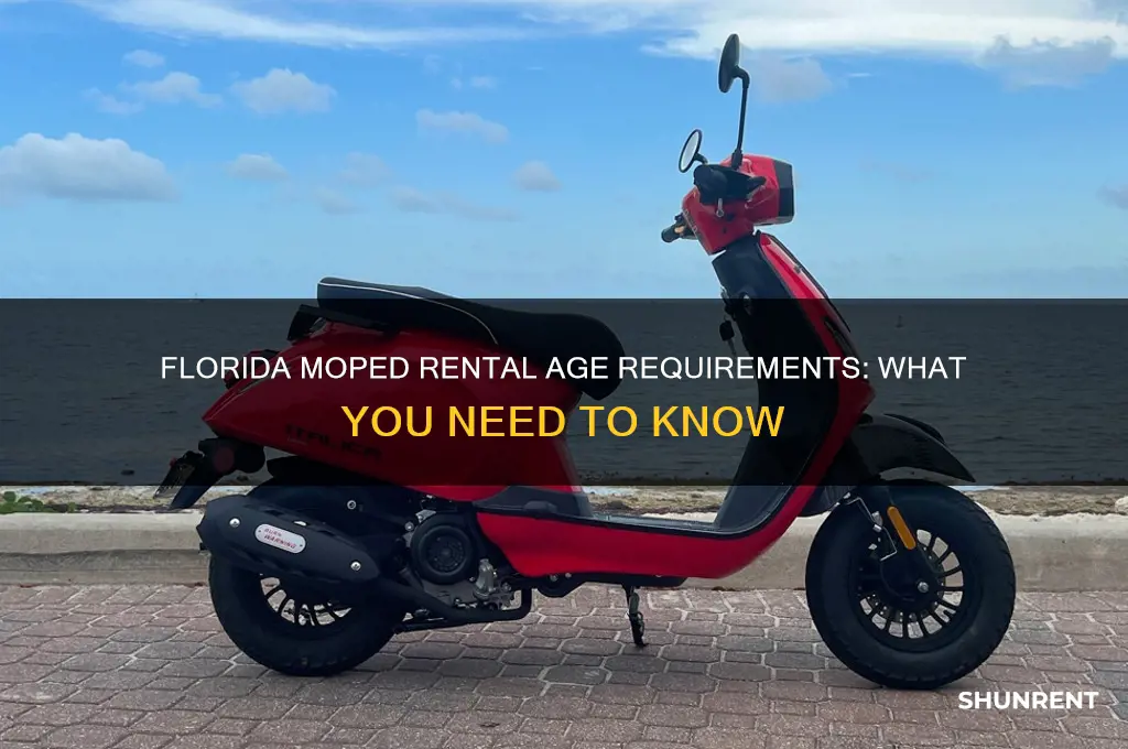 how old to rent a moped in florida
