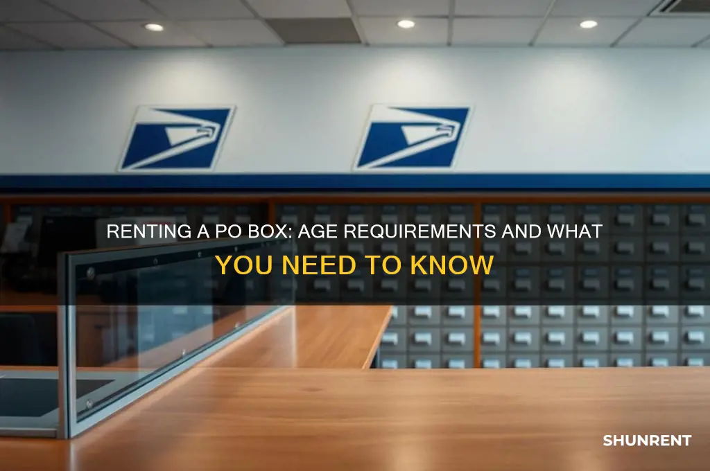 how old to rent a po box