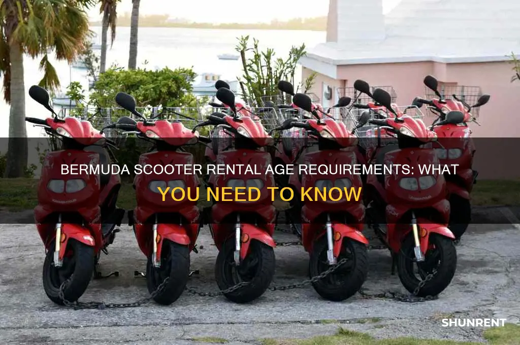 how old to rent a scooter in bermuda