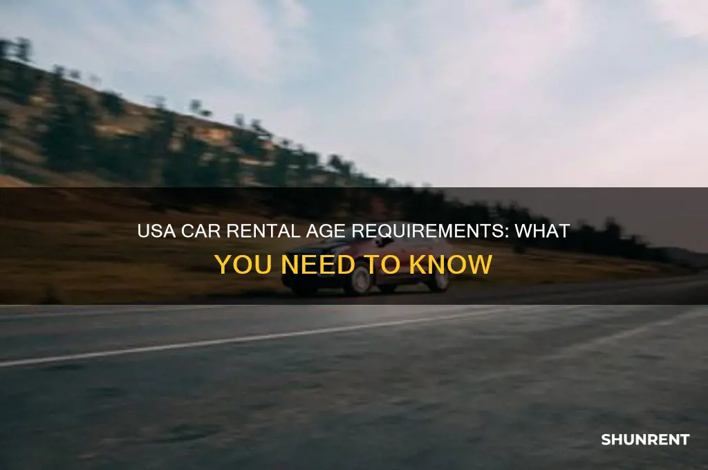 how old to rent a vehicle in usa