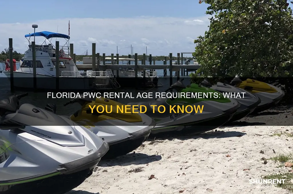 how old to rent pwc in florida