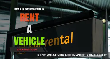 Vehicle Rental Age Requirements: What's the Minimum Age to Rent?