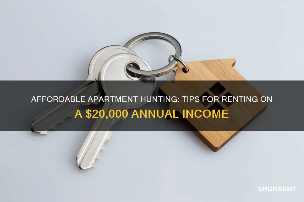 how ot rent apatmetn making 20000 per year