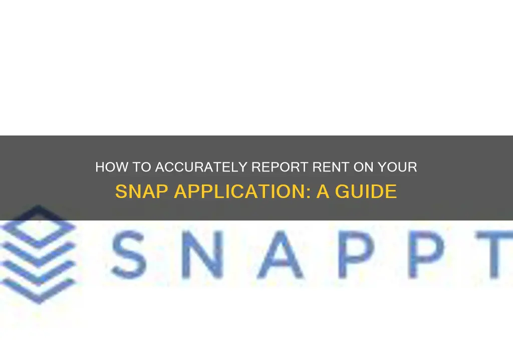 how should i put rent on snap application