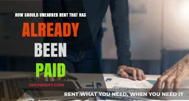 Handling Unearned Rent: Best Practices for Paid Advance Amounts