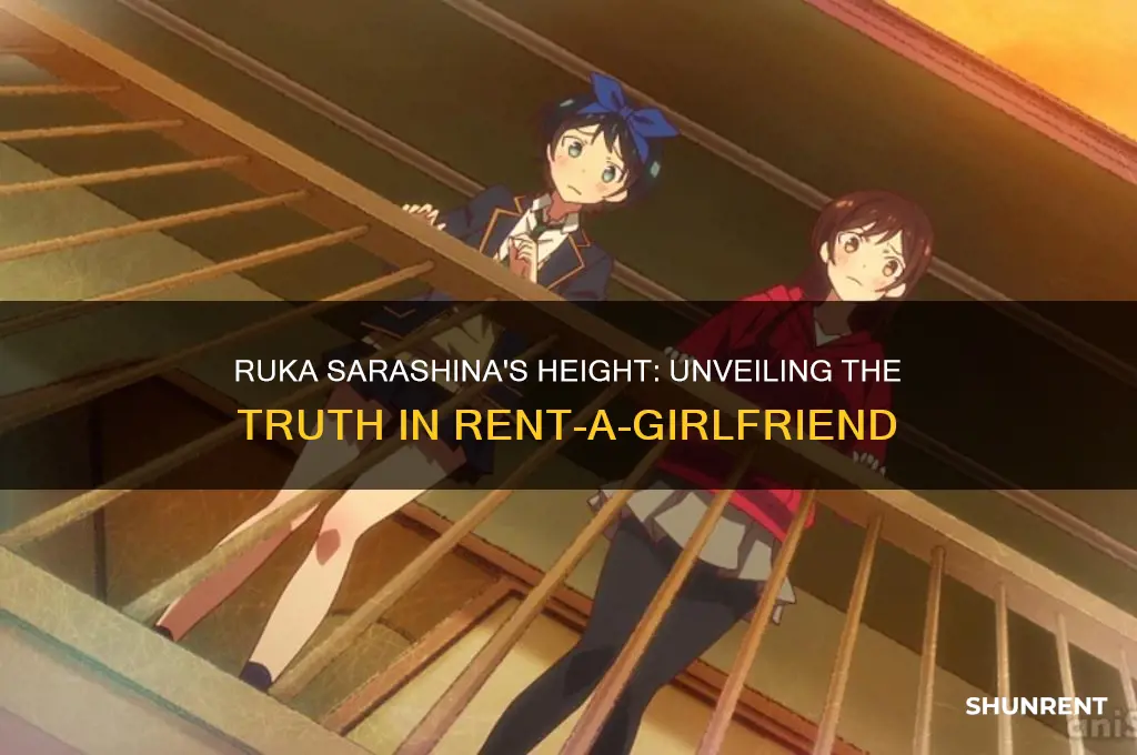 how tall is ruka from rent a girlfriend