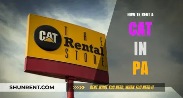 Rent a Cat in PA: Your Purr-fect Companion Guide