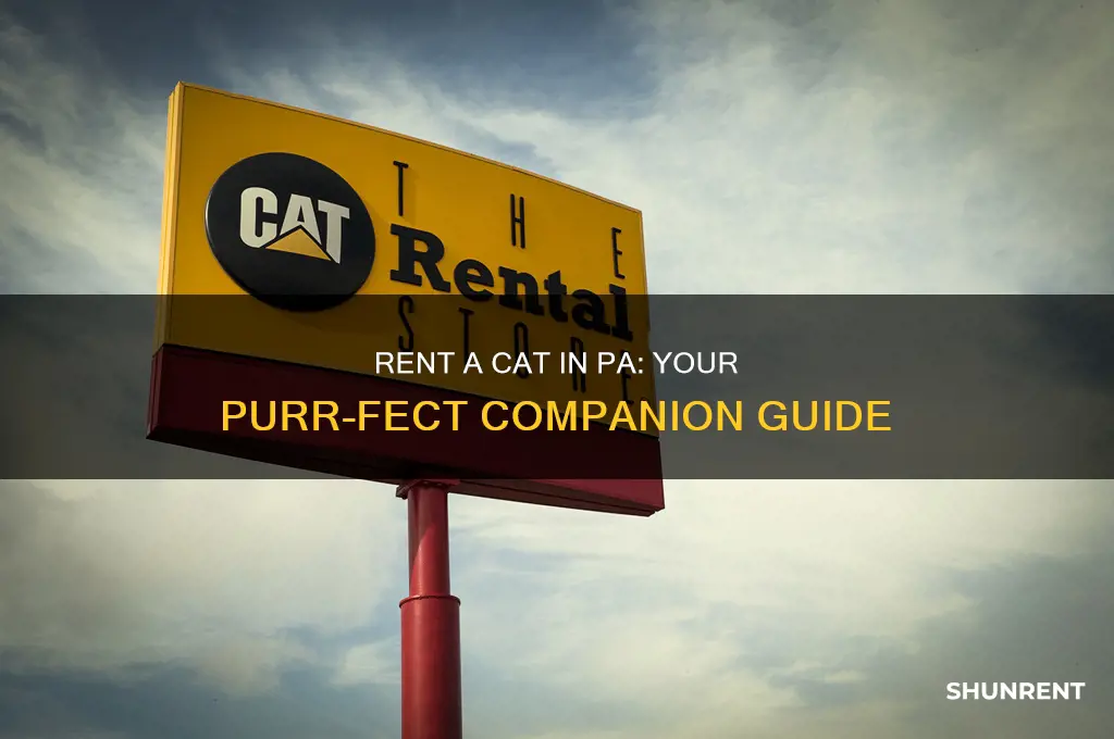 how te rent a cat in pa