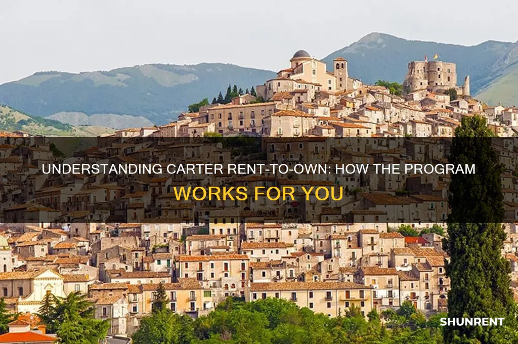 how the program works carter rent to own