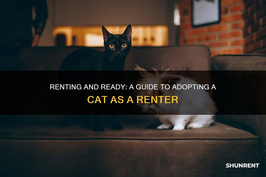 how to adopt a cat if you rent