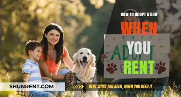 Renting and Ready: A Guide to Adopting a Dog Responsibly