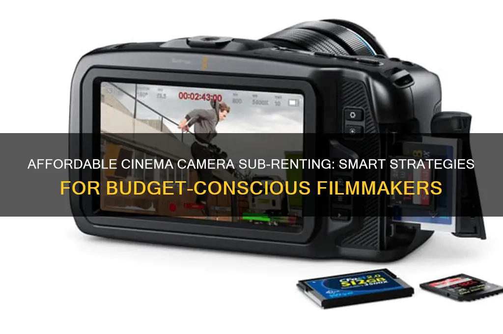 how to afford a cinema camera for sub renting