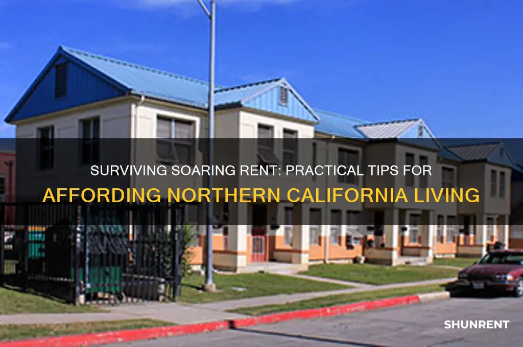 how to afford rent in northern california