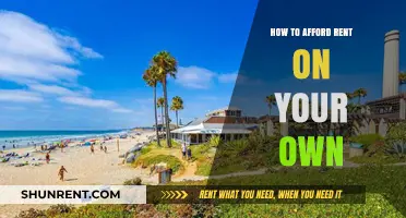 Mastering Solo Living: Smart Strategies to Afford Rent Independently