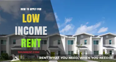 Affordable Housing Guide: Steps to Apply for Low-Income Rent