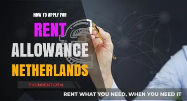 Netherlands Rent Allowance: Step-by-Step Application Guide for Tenants