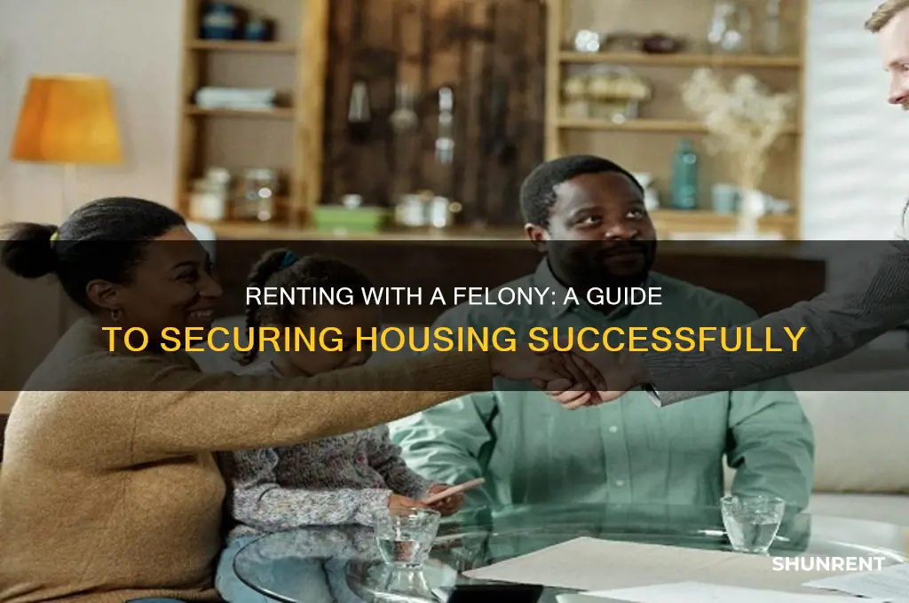 how to apply for rent with felony on your record