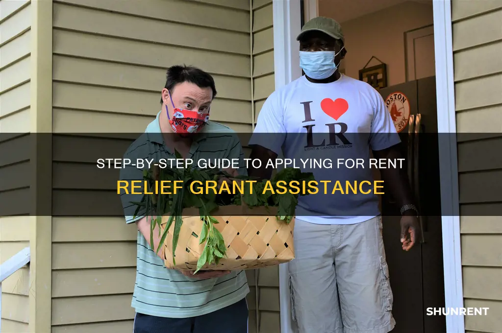 how to apply for the rent relief grant