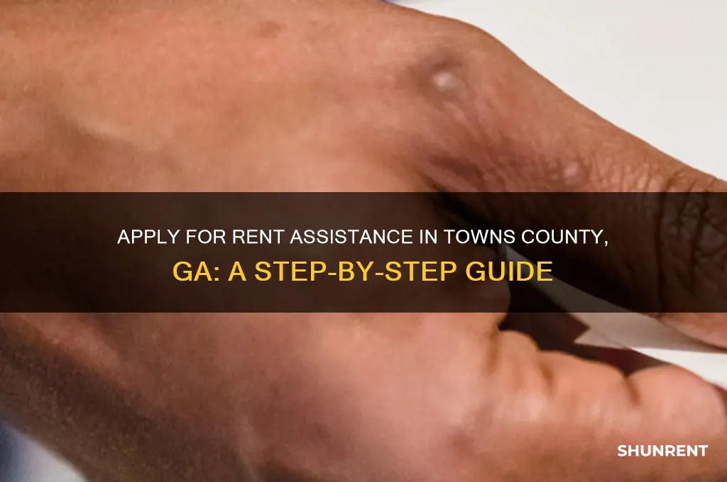 how to apply rent assistance in towns county ga