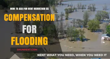 Requesting Rent Reduction: Fair Compensation for Flooding in Your Rental