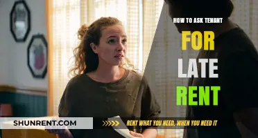 Effective Strategies for Landlords: How to Approach Tenants About Late Rent