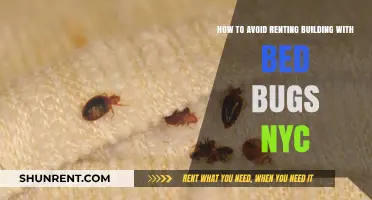 Avoid Bed Bugs in NYC Rentals: Essential Tips for Tenants