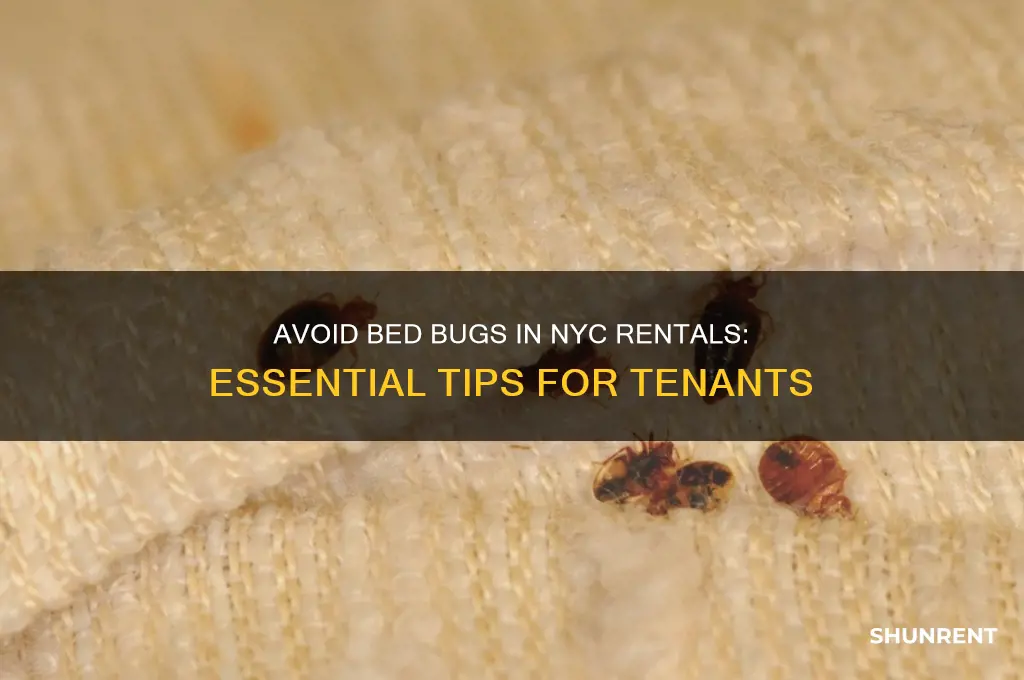 how to avoid renting building with bed bugs nyc