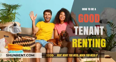 Mastering Tenant Etiquette: Tips for a Smooth and Respectful Rental Experience