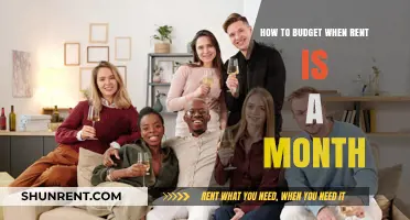Mastering Monthly Budgeting: Strategies When Rent Consumes Your Income