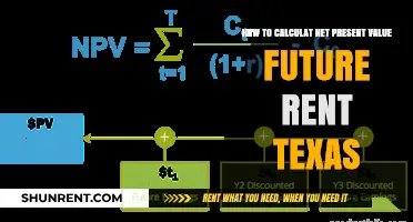 Calculating Net Present Value of Future Rent in Texas: A Guide