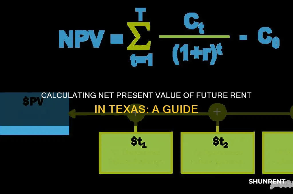how to calculat net present value future rent texas