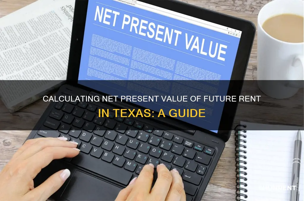 how to calculate net present value future rent texas