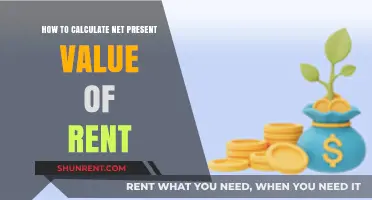 Calculating Net Present Value: A Guide to Evaluating Rental Property Investments