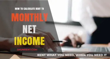 Calculate Rent-to-Income Ratio: Monthly Net Income Guide