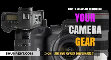 Maximizing Earnings: A Guide to Renting Out Your Camera Gear