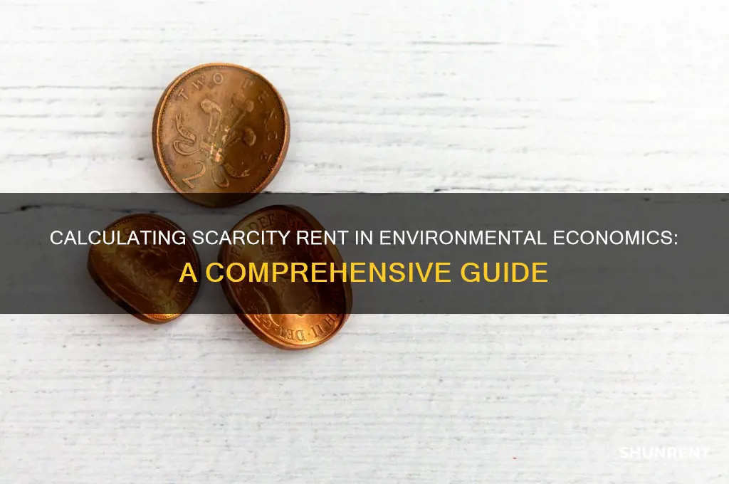 how to calculate scarcity rent environmental economics