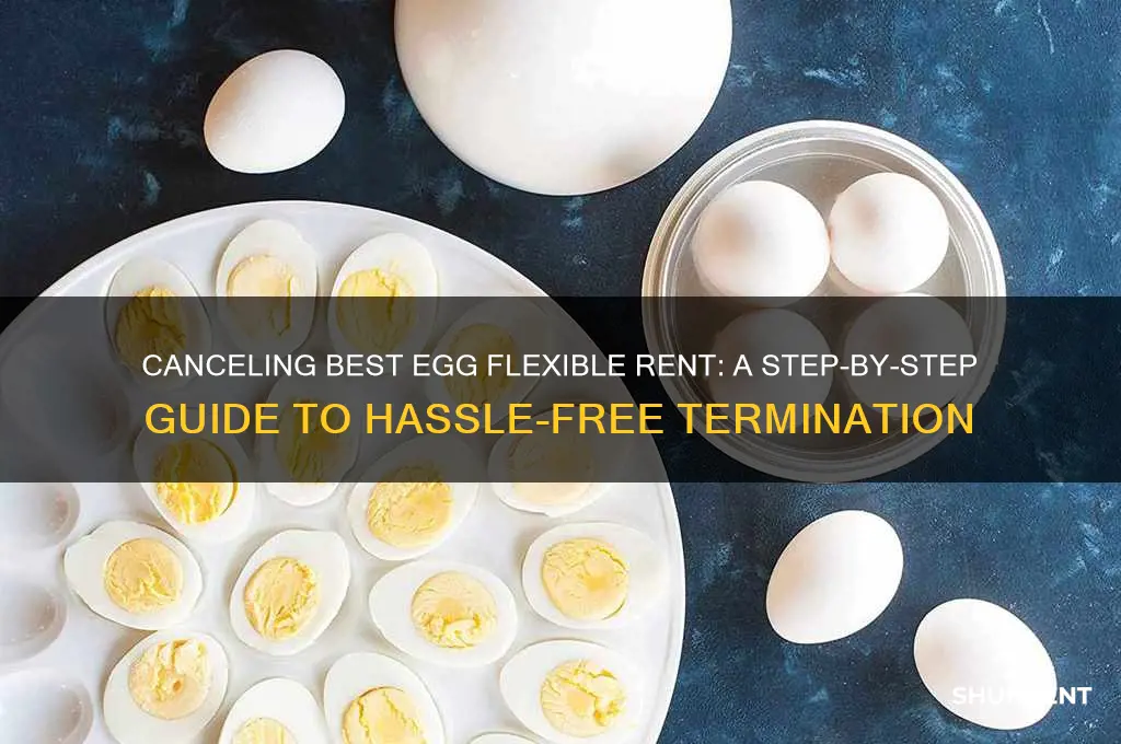 how to cancel best egg flexible rent