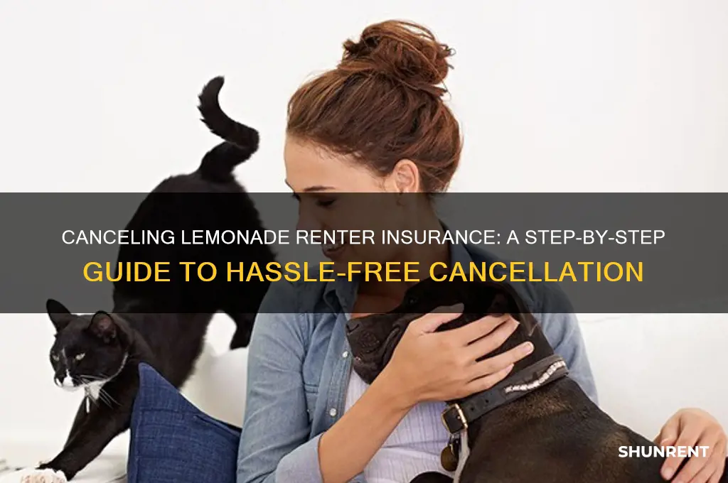 how to cancel my renter insurance with lemonade