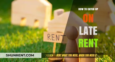 Catching Up on Late Rent: Strategies to Regain Financial Stability