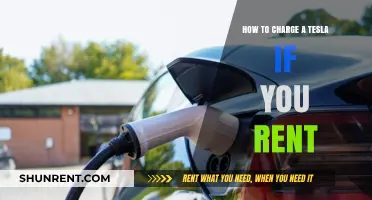 Renting a Tesla? Here’s How to Charge It Easily and Efficiently