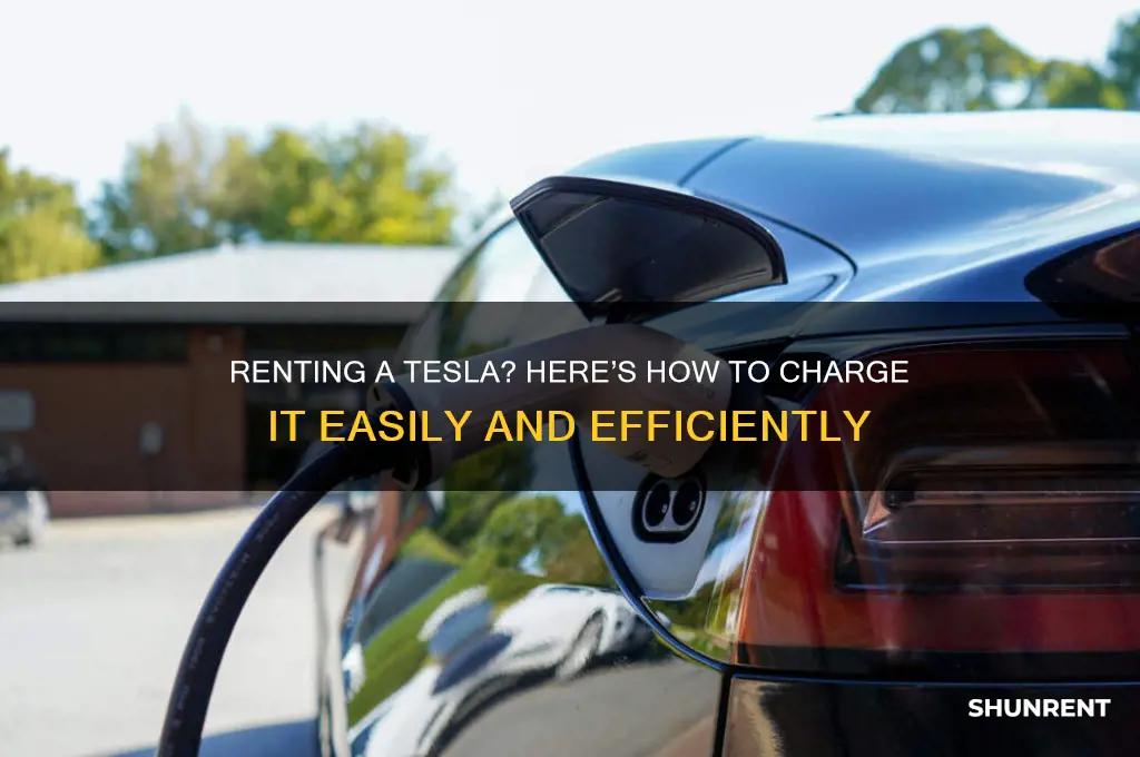 how to charge a tesla if you rent