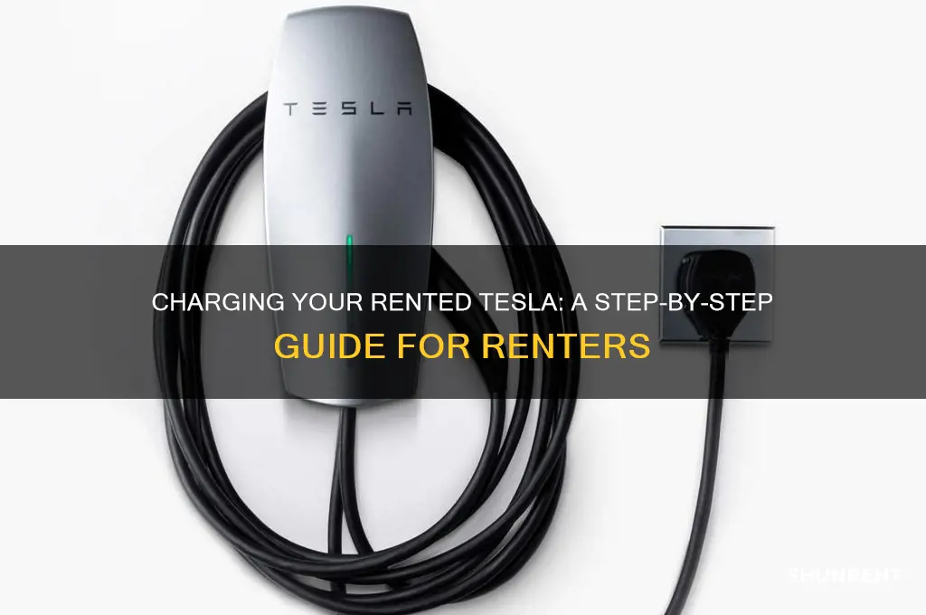 how to charge a tesla when renting